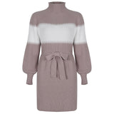 High Collar Lantern Sleeve Contrast Color Sweater Knit Mini Dress