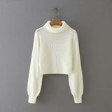 Vintage High Collar Hollow-out Lantern Sleeve Knit Sweaters