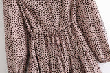 V-neck Lace-up Shirred Frill Polka Dot Floral Mini Dresses
