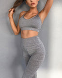 Fashion Slim Vest Sport Yoga Bras Suit Pants Home Workout Home Fitness - Nowachic.com