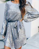 Round Collar Lantern Sleeve Sequin Puff Sleeve Mini Dresses Silver